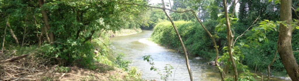 Alla scoperta del Torrente Molgora: natura e percorsi nei dintorni di Burago