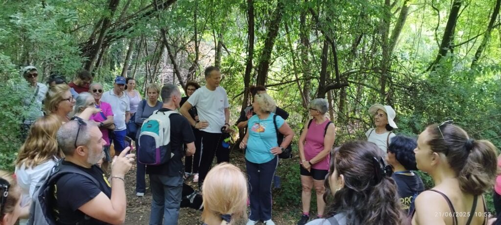🌞 Solstizio d’estate nel Parco Agricolo Nord Est: una passeggiata tra natura e condivisione
