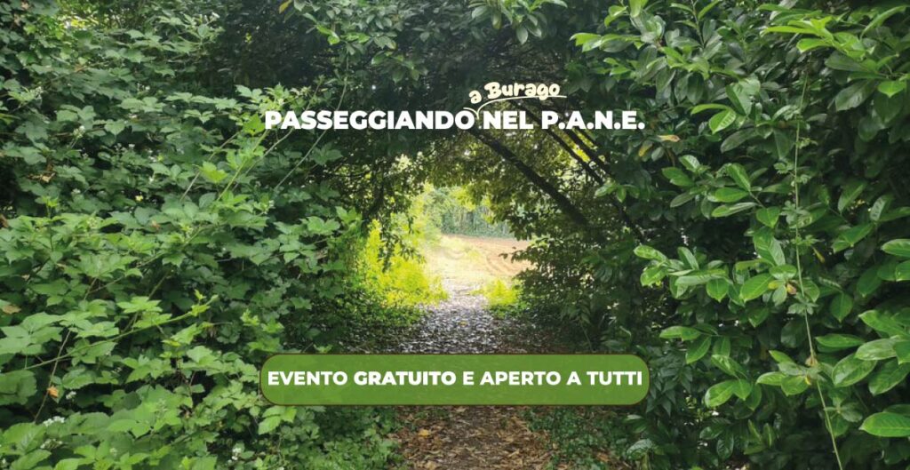 PASSEGGIANDO A BURAGO NEL P.A.N.E.